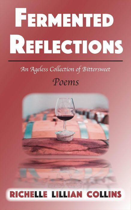 Fermented Reflections book cover